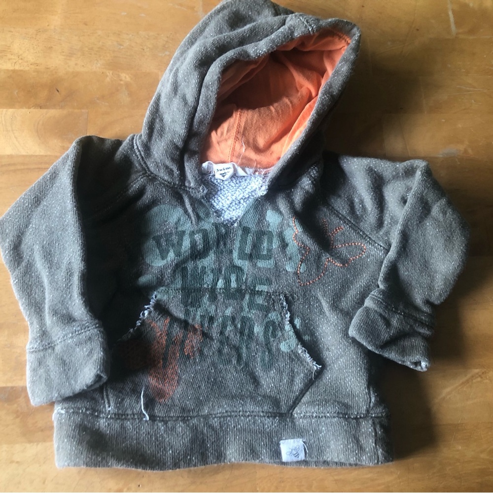 Burt's Bees Baby Gray Hooded Sweatshirt with Orange Lining
